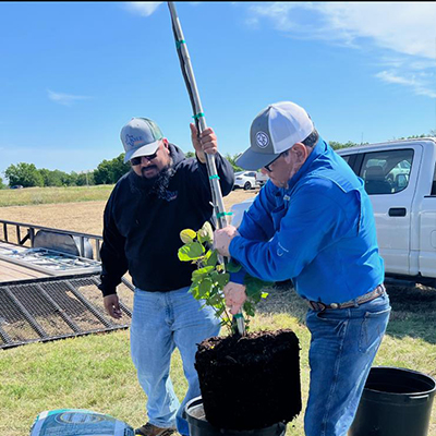 Campaign team planning session