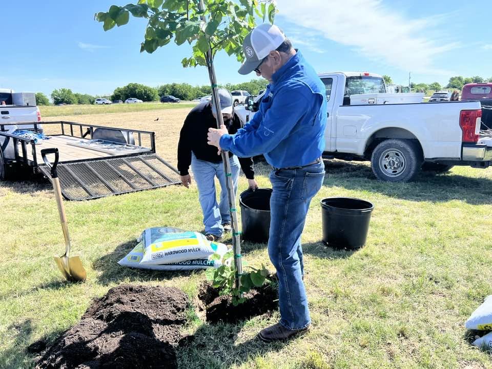 Robert Rizo assisting city staff with planting trees at Heroes Memorial Park